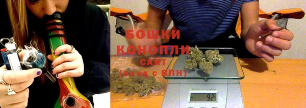 индика Аркадак