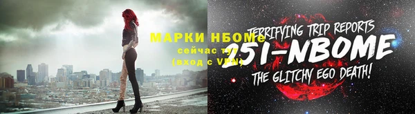 индика Аркадак