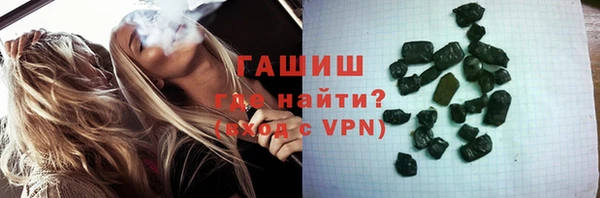сатива Арсеньев