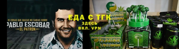 индика Аркадак