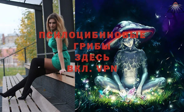 сатива Арсеньев