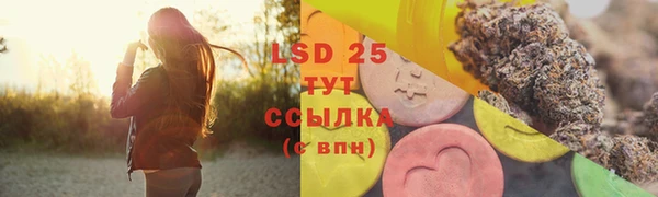 сатива Арсеньев