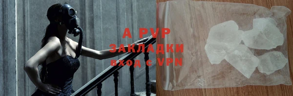 индика Аркадак