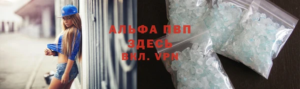 сатива Арсеньев