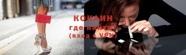 индика Аркадак