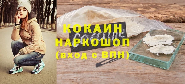 индика Аркадак