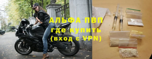 индика Аркадак