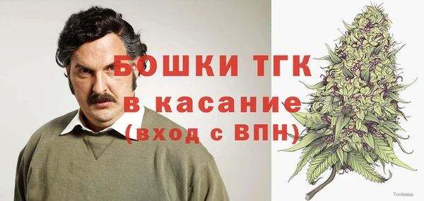 сатива Арсеньев