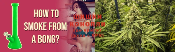 индика Аркадак